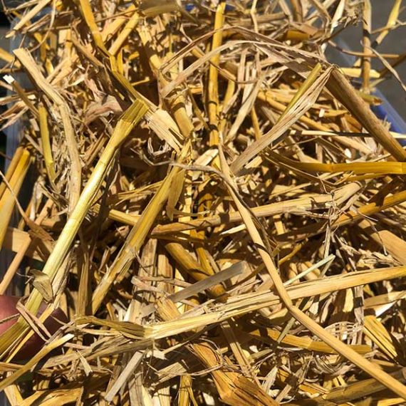 moisture content of wheat straw