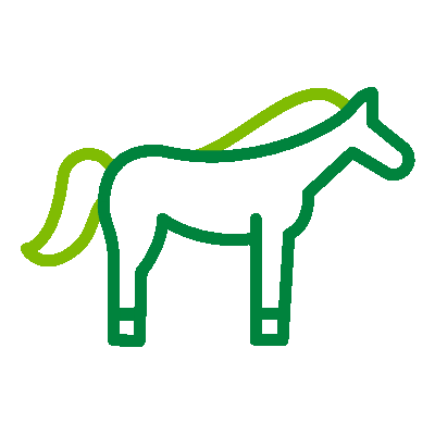 wired-outline-1153-horse-hover-pinch